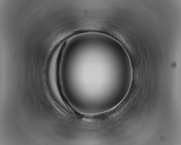 X0000091100677200708201521