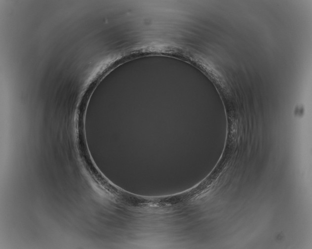 X0000091100678200708201521