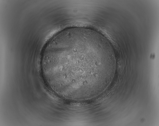 X0000091100679200708201521