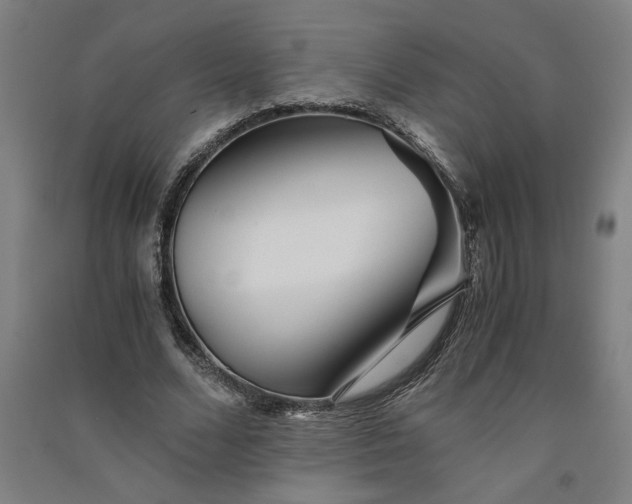 X0000091100680200708201521