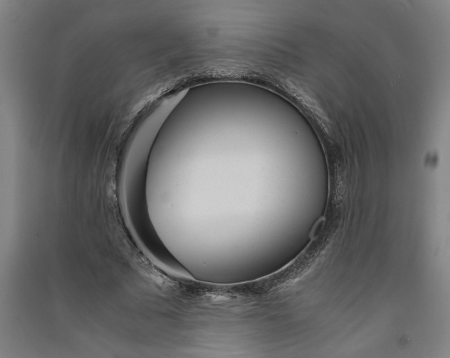 X0000091100681200708201521