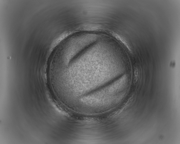 X0000091100682200708201521