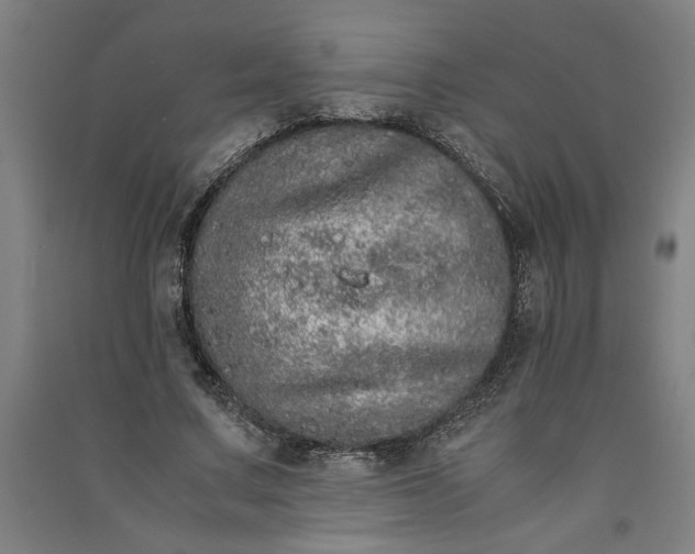 X0000091100683200708201521