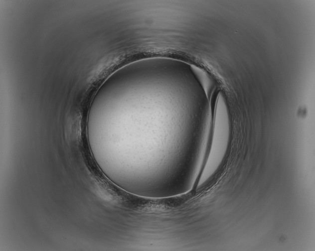 X0000091100685200708201521