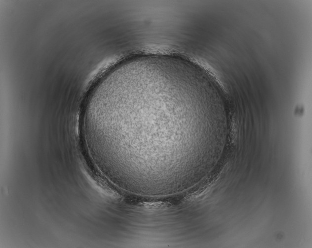 X0000091100686200708201521