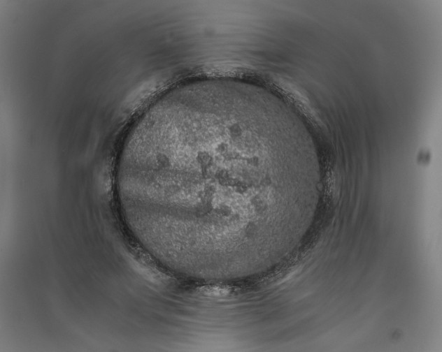 X0000091100687200708201521