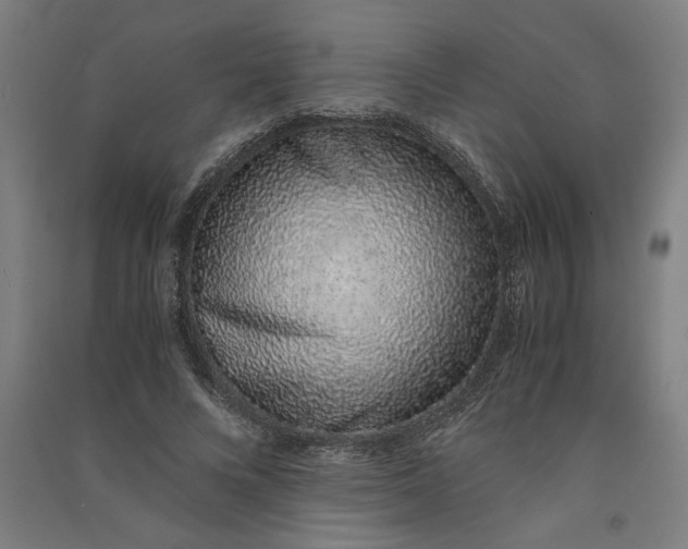 X0000091100688200708201521