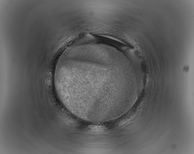 X0000091100689200708201521