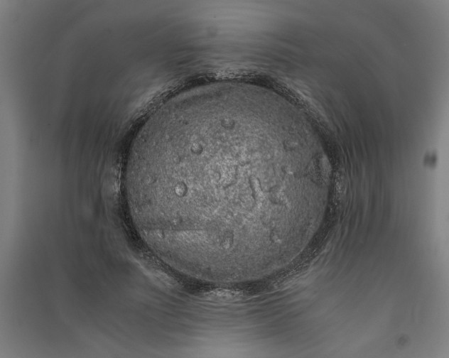 X0000091100691200708201521