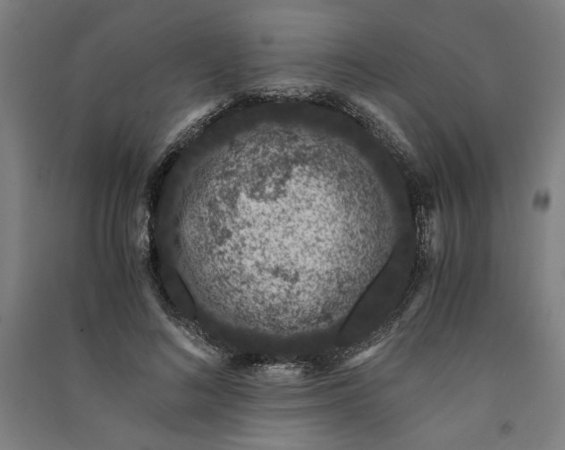 X0000091100692200708201520