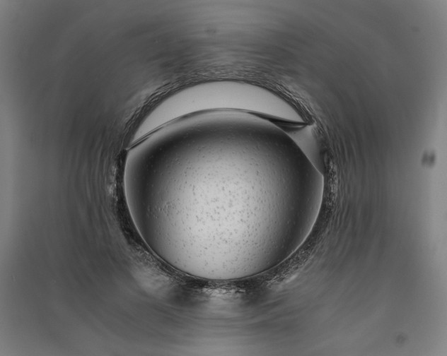 X0000091100693200708201520