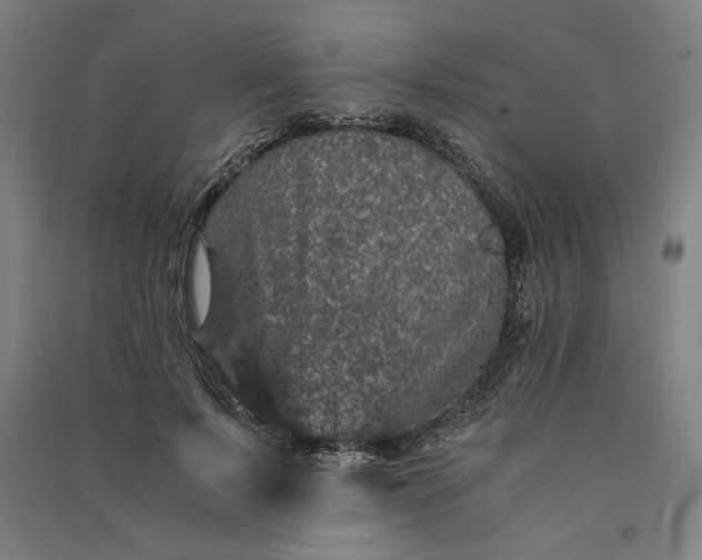 X0000091100695200708201520