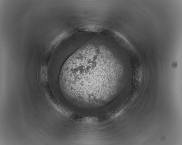 X0000091100696200708201520