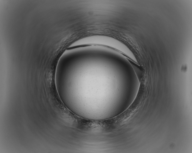 X0000091100697200708201520