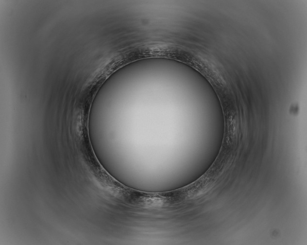 X0000091100698200708201520