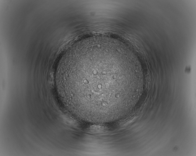 X0000091100699200708201520