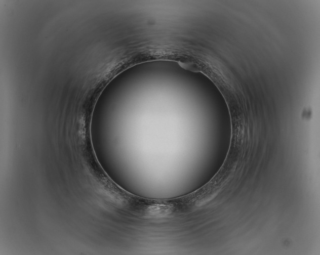 X0000091100700200708201520