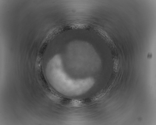 X0000091100701200708201520