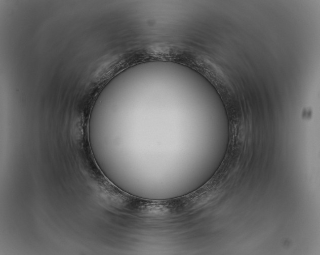 X0000091100702200708201520