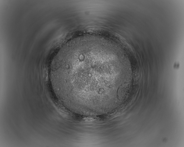 X0000091100703200708201520