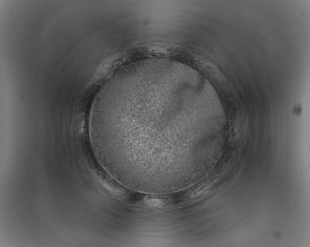 X0000091100706200708201520