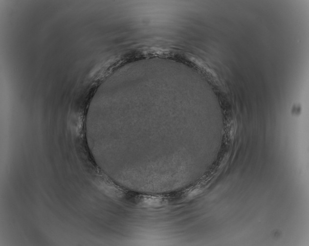 X0000091100709200708201520