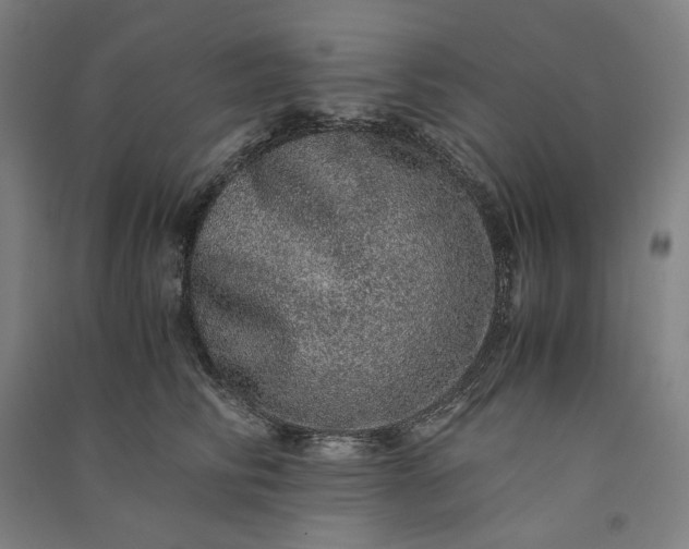 X0000091100710200708201520