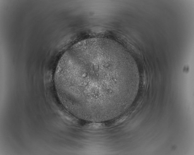 X0000091100711200708201520