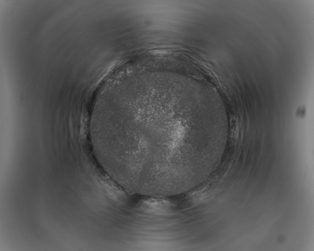 X0000091100712200708201520