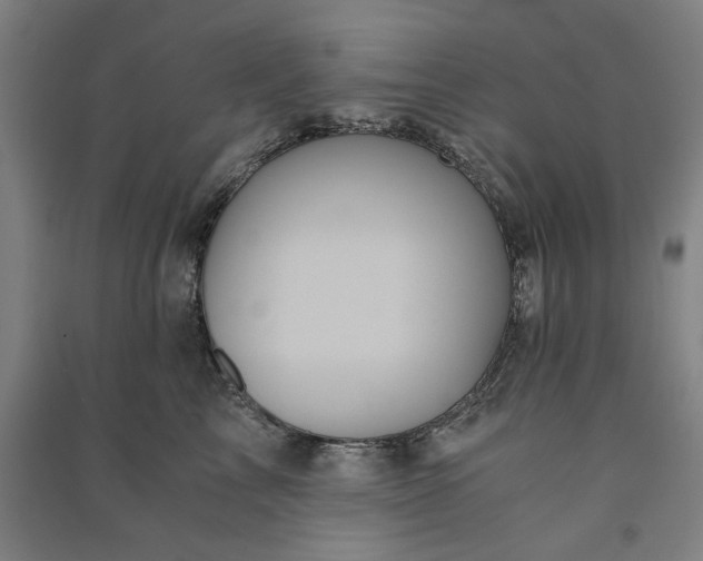 X0000091100713200708201520