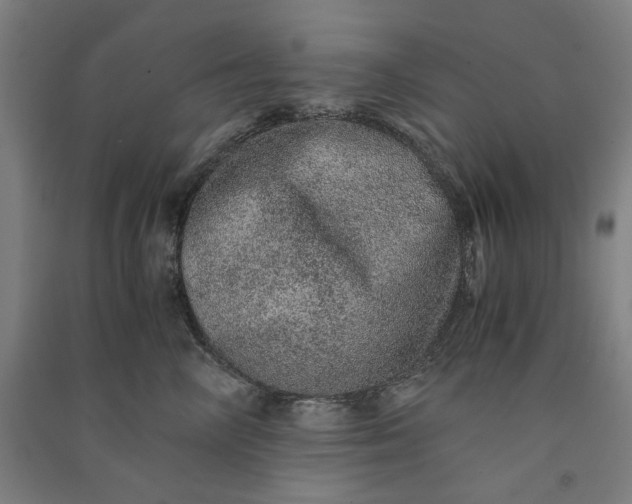 X0000091100714200708201520