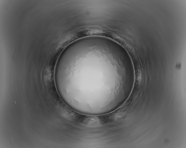 X0000091100715200708201520