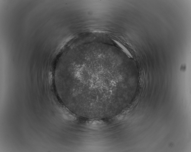 X0000091100716200708201520