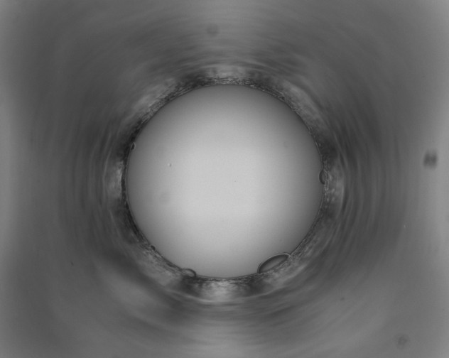 X0000091100717200708201520