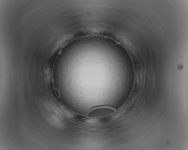 X0000091100718200708201520