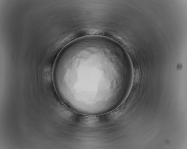 X0000091100719200708201520