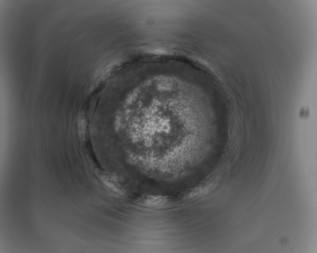 X0000091100720200708201520