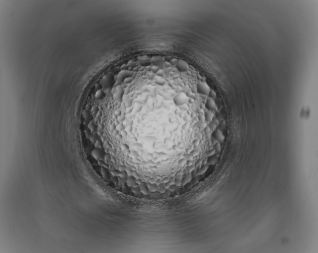 X0000091100721200708201519