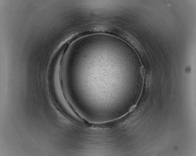 X0000091100722200708201519