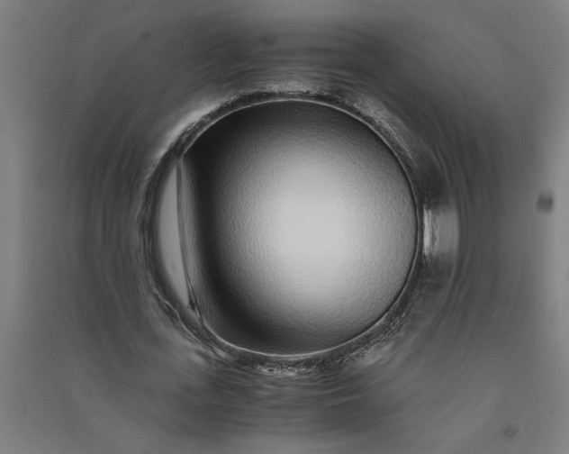 X0000091100723200708201519