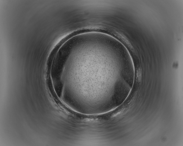 X0000091100724200708201519