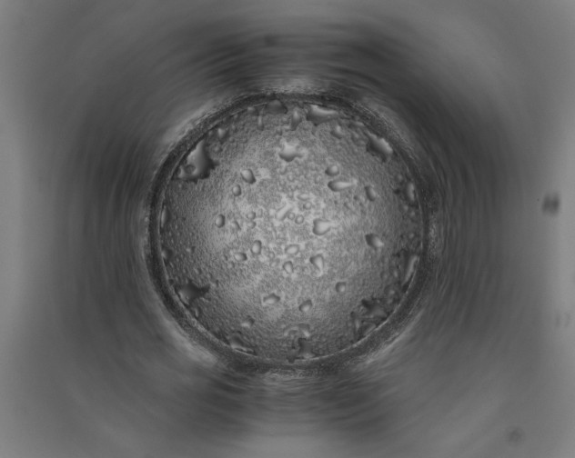 X0000091100725200708201519