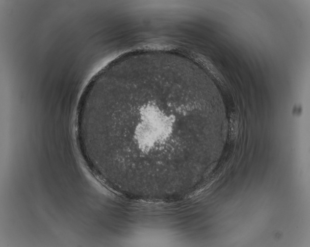 X0000091100726200708201519