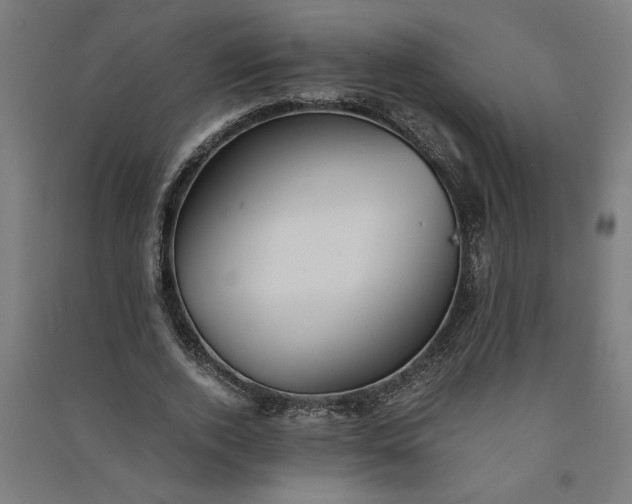 X0000091100728200708201519