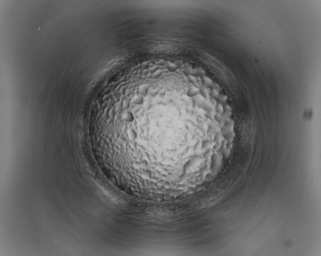 X0000091100729200708201519