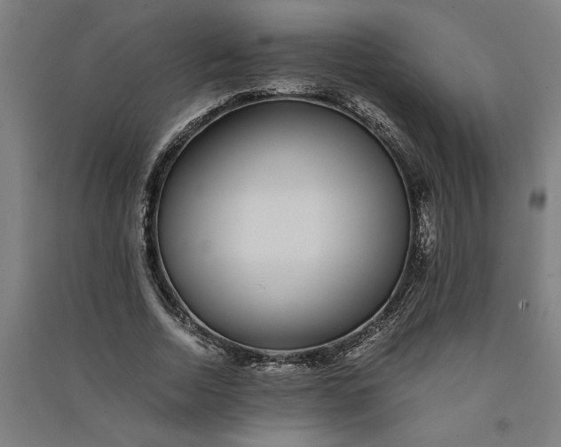 X0000091100730200708201519