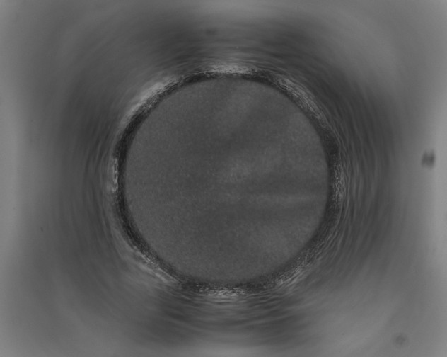 X0000091100731200708201519