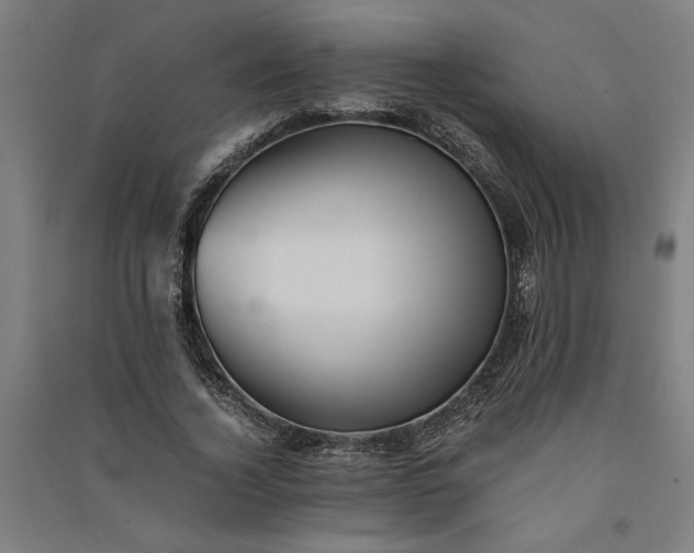 X0000091100732200708201519