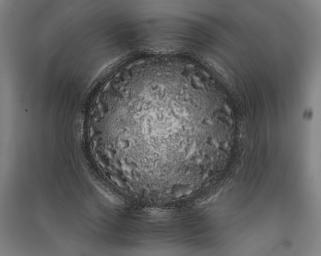 X0000091100733200708201519