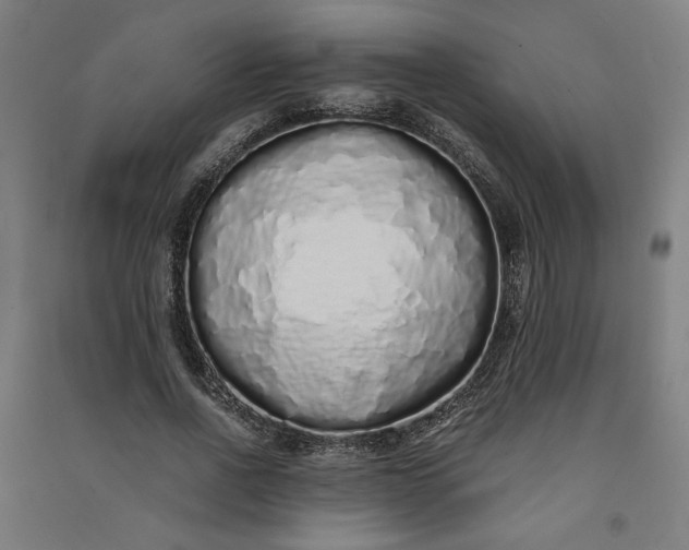 X0000091100734200708201519